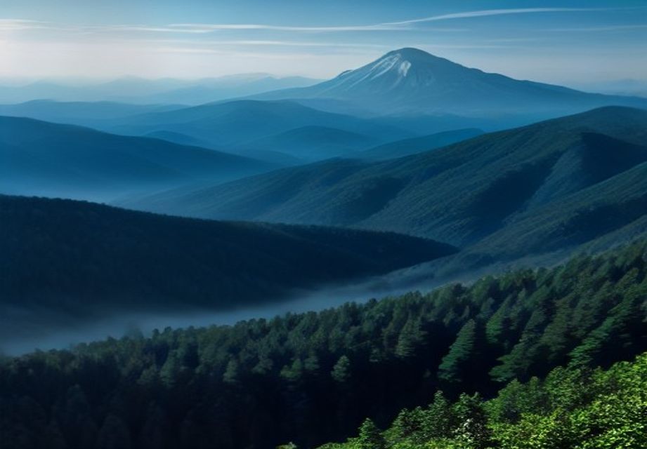 標高1,000mの山